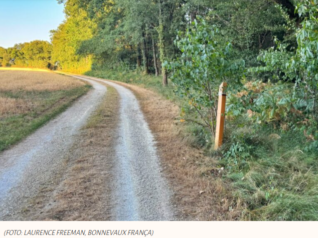 Ícones vivos de Deus