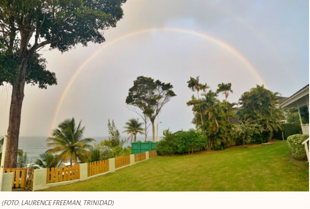 A consciência da presença