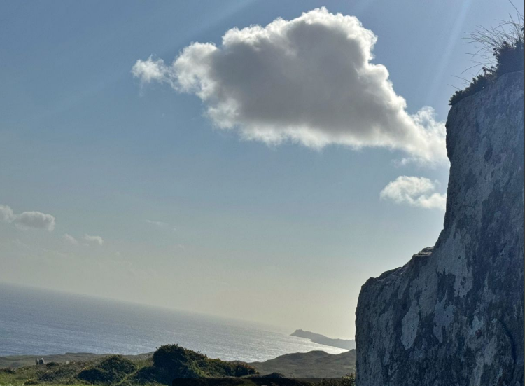 O trabalho essencial da vida