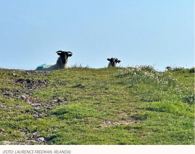 Temos que perder para encontrar