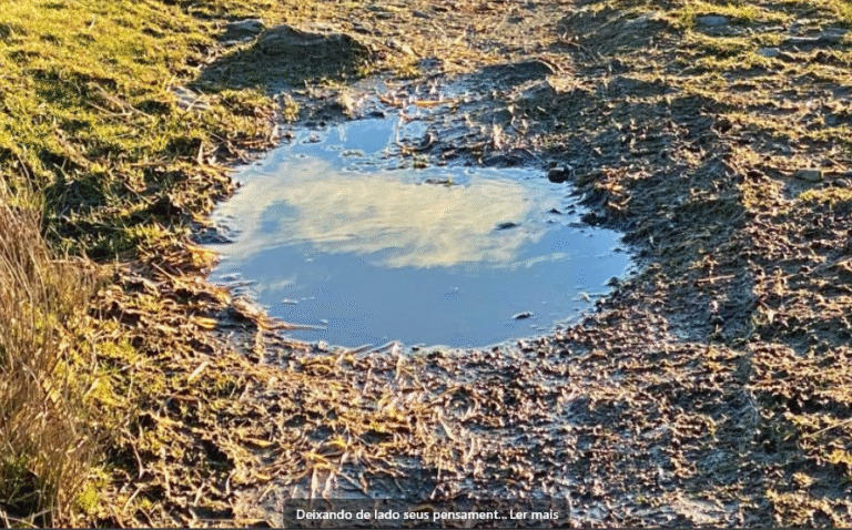 Deixando de lado seus pensamentos