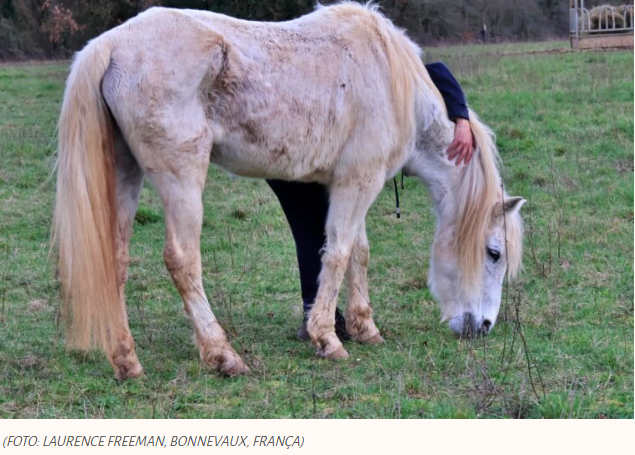 A coisa mais carinhosa que você pode fazer por si mesmo(a).