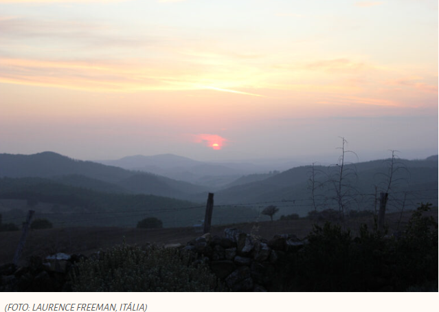 A capacidade de se surpreender