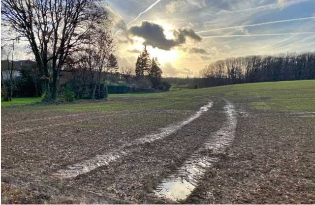 Da desesperança à esperança