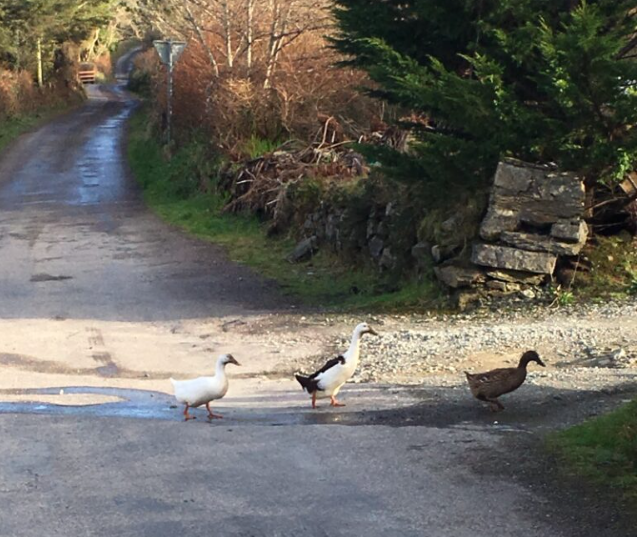 Não estamos competindo.