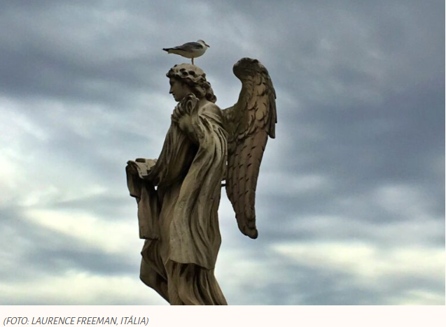 Choque da conversão