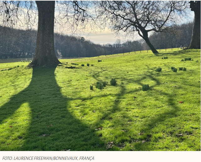 Calma e conhecimento