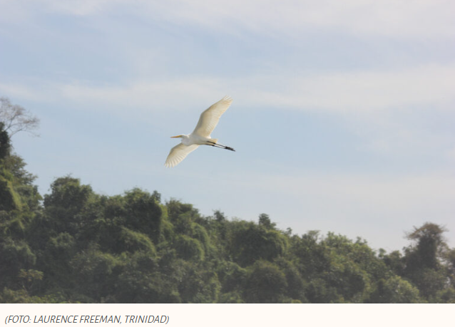 Um momento de total libertação