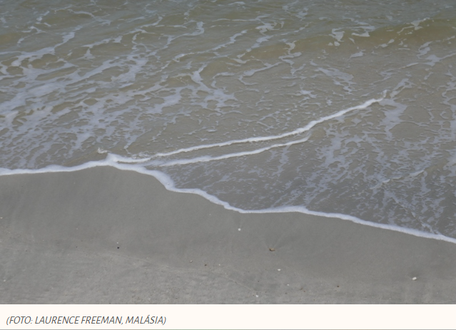 Quem ama conhece a Deus.