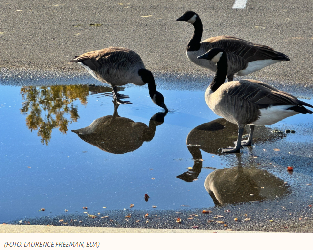 O mistério central de nossas vidas