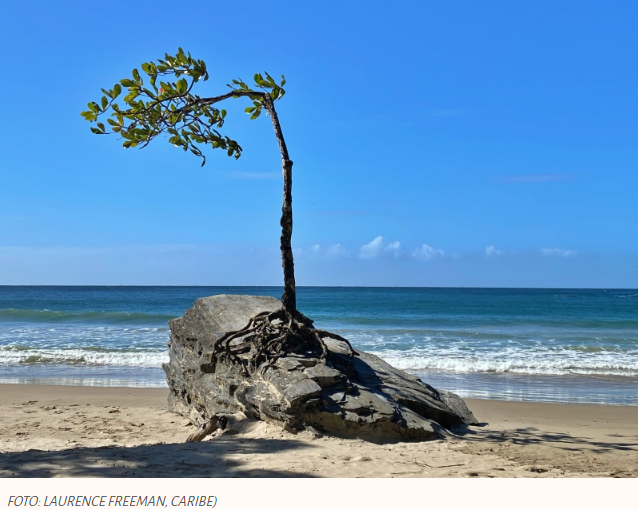A quietude significa não fazer esforço.