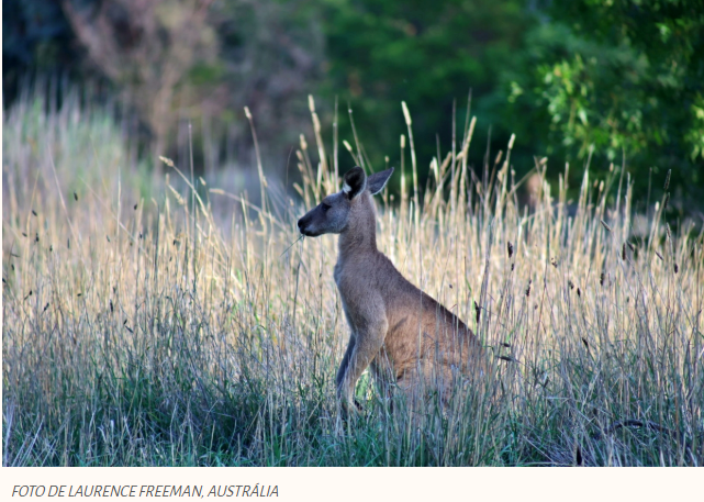 Cura através de ver a realidade